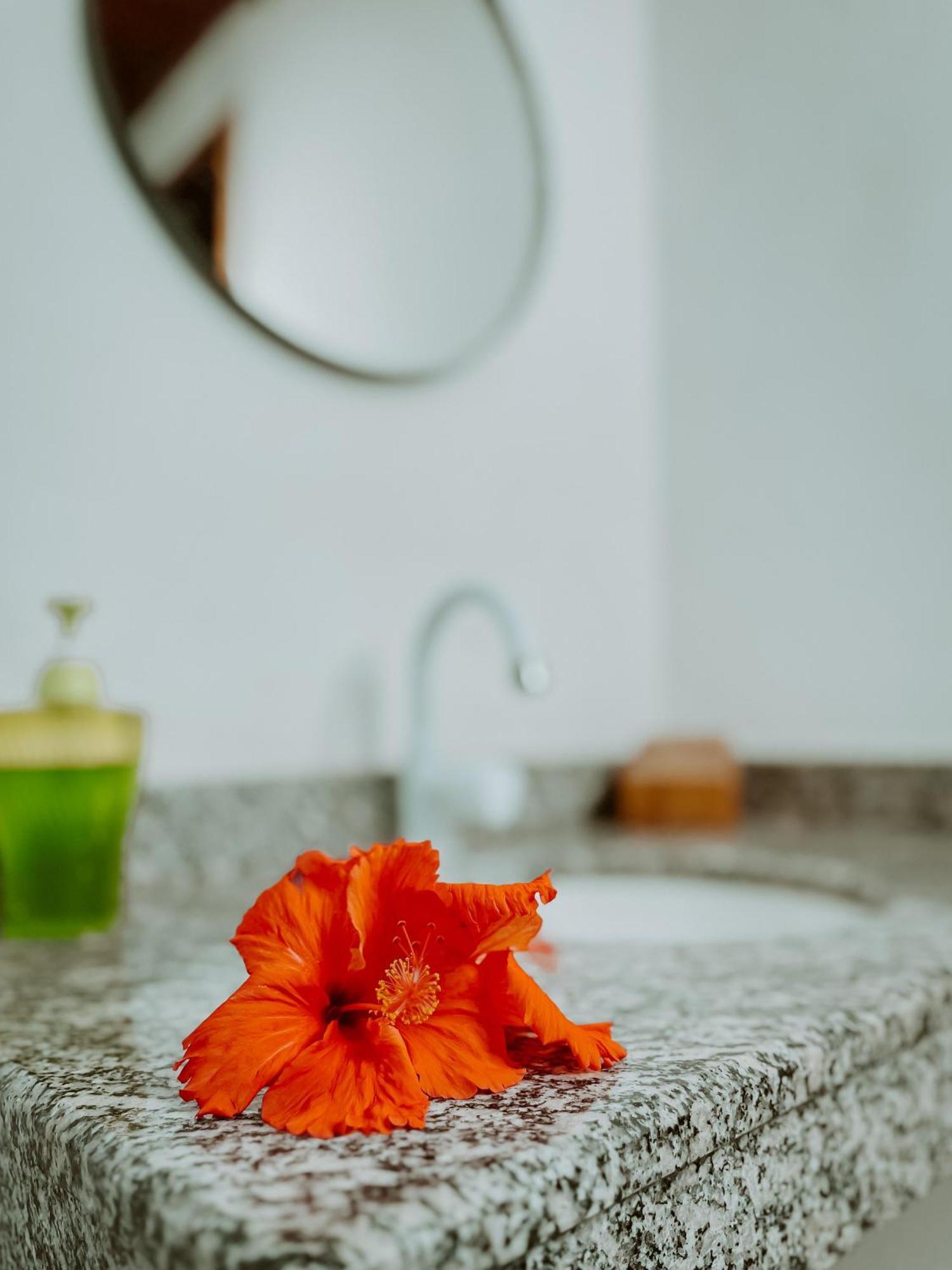 Guedes Residence Velha Boipeba Экстерьер фото